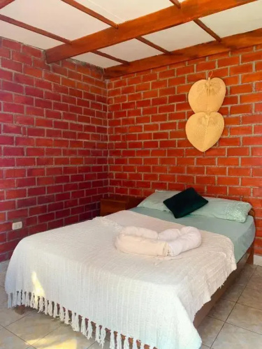 Casa Camelias