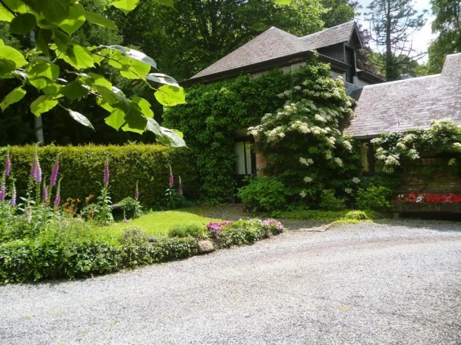 Cottage