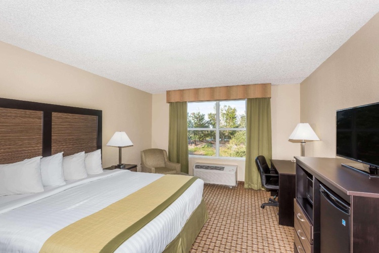 1 Bedroom Double Suite