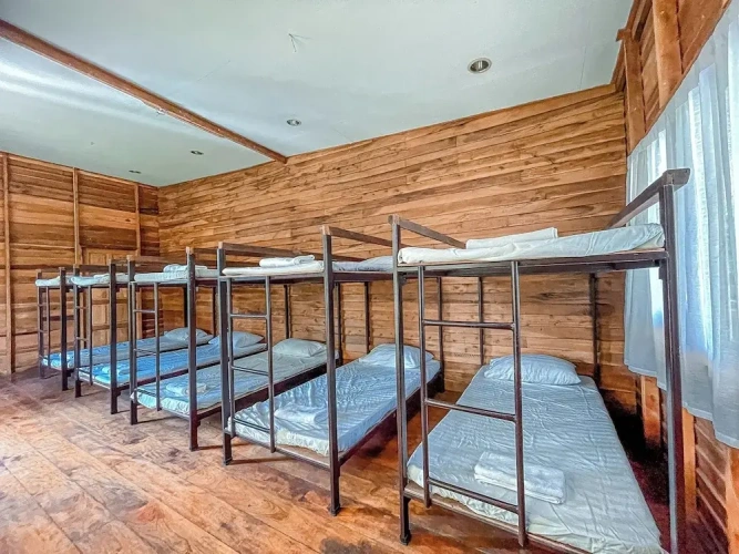 Bed in Dorm