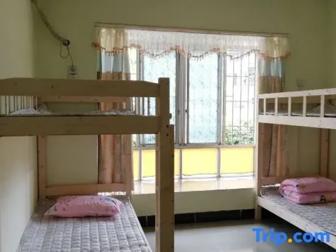 Bed in Dorm