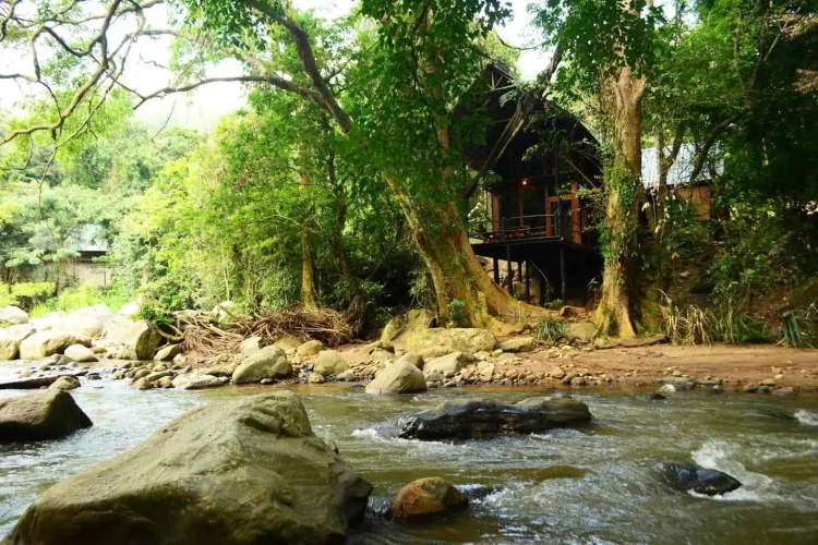 Deluxe Double Chalet