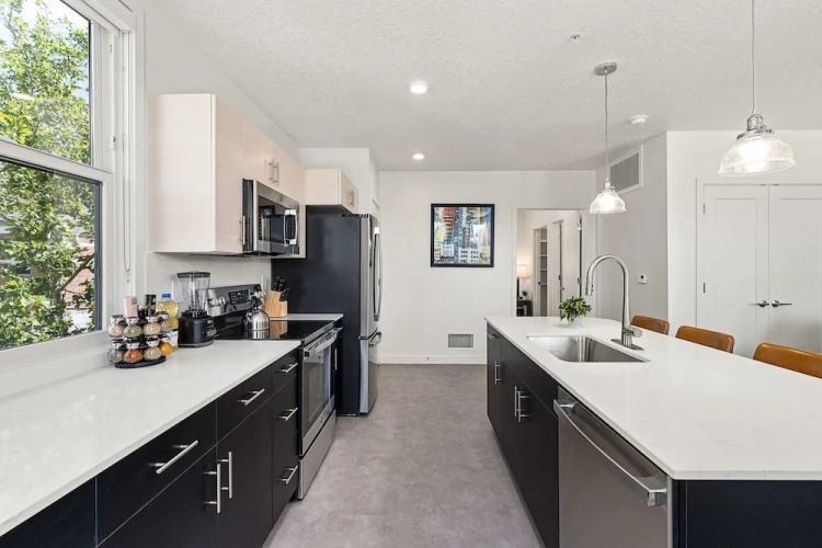 Luxury Apartment