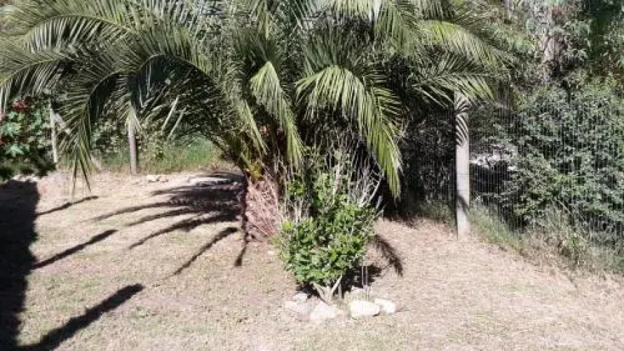 Fuerte Pirata