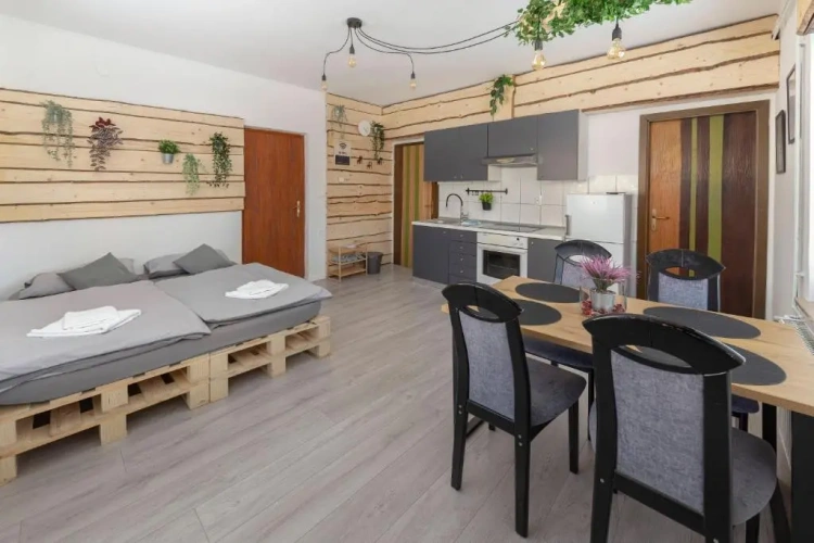 1 Bedroom Apartment