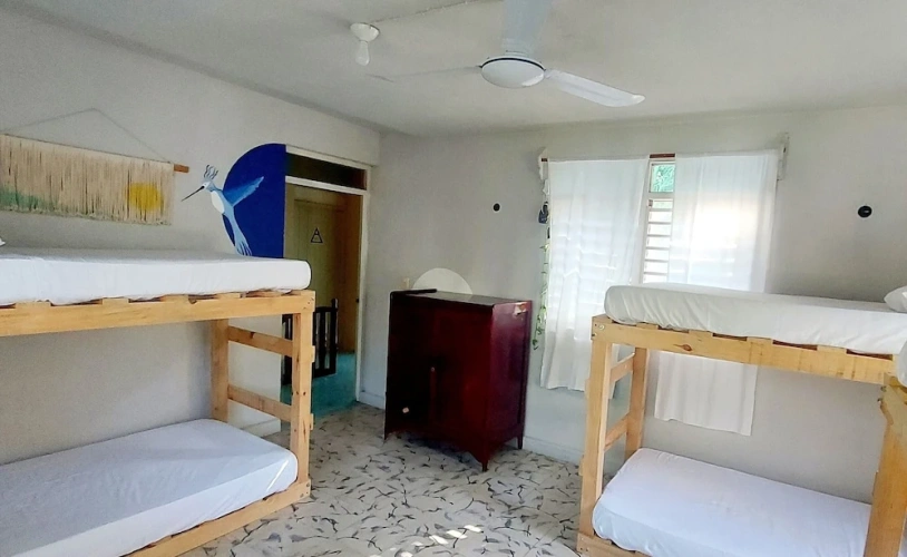 Bed in Dorm