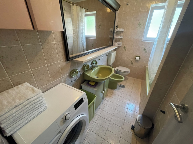 Apartment Orlic