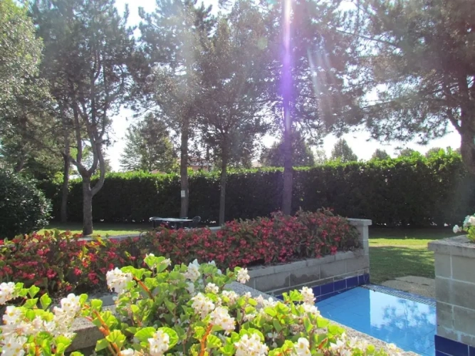 1 Bedroom Apartment with balcony