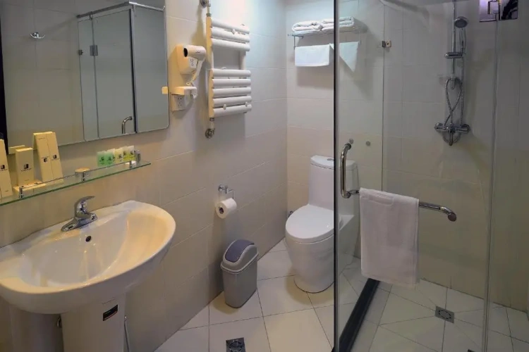 Premium Twin room