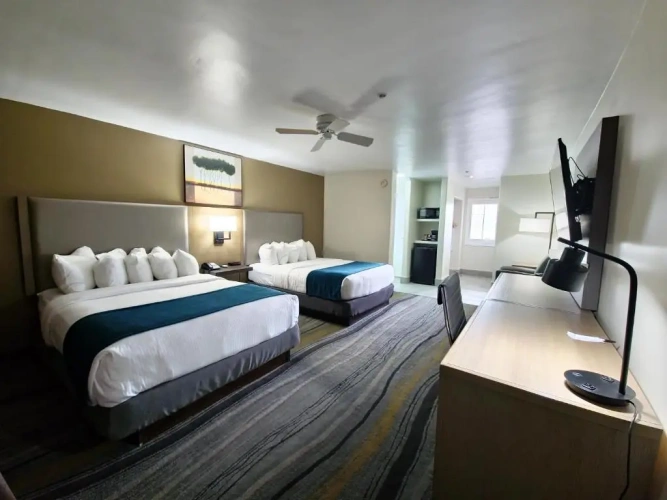 Guest rooms