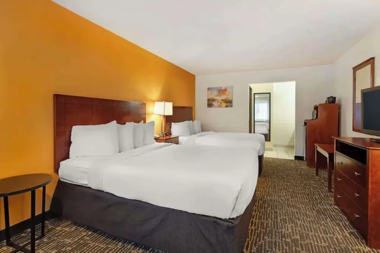 Single Suite