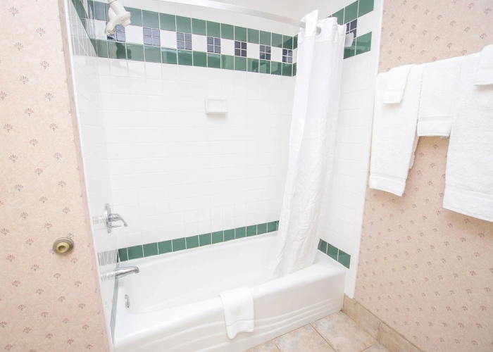 1 Bedroom Standard Single room with lake view