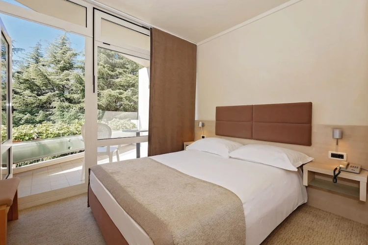 Classic Single room with balcony and with park view
