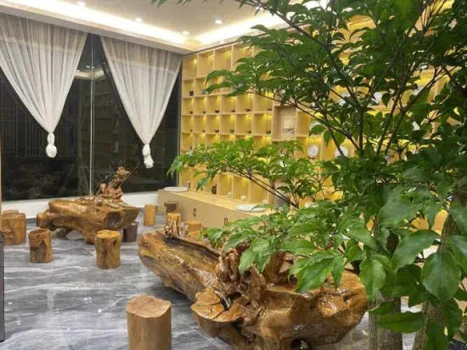 Binshan bieyuan Hotel
