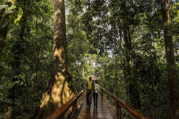 Tambopata Research Center
