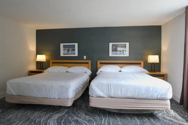 Standard Double room with view