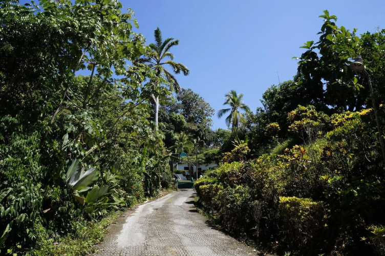 Villas de la Selva