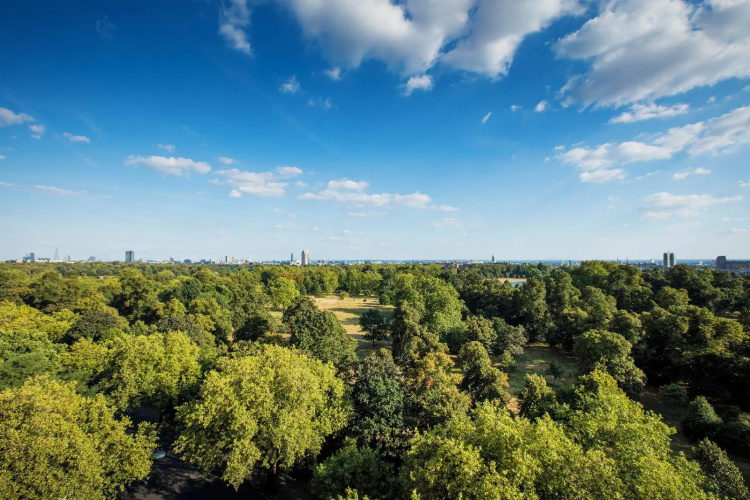 Thistle London Hyde Park Kensington Gardens photo 20