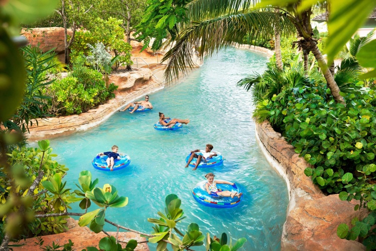 The Coral at Atlantis photo 28