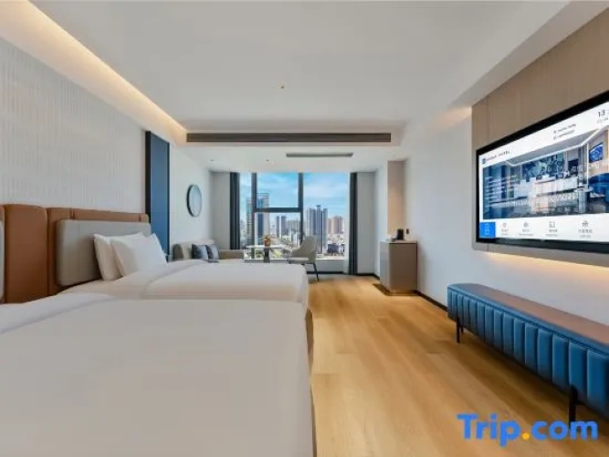 Deluxe Twin room with city view
