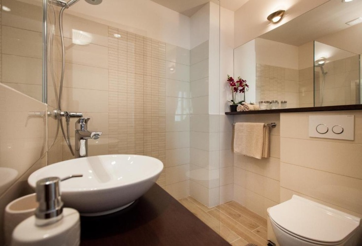 1 Bedroom Apartment