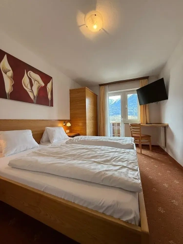 Economy Double room with balcony and with mountain view