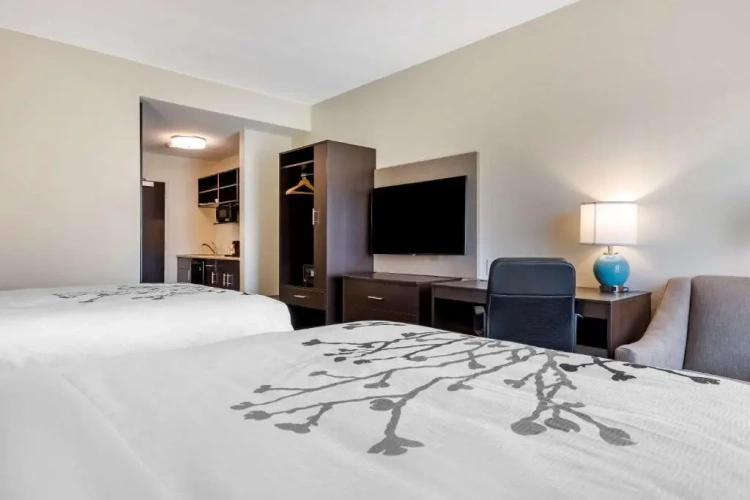 Quadruple Suite