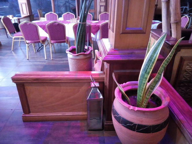 Highgate Hotel