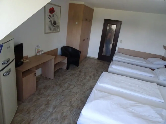 1 Bedroom Standard Quadruple Family room