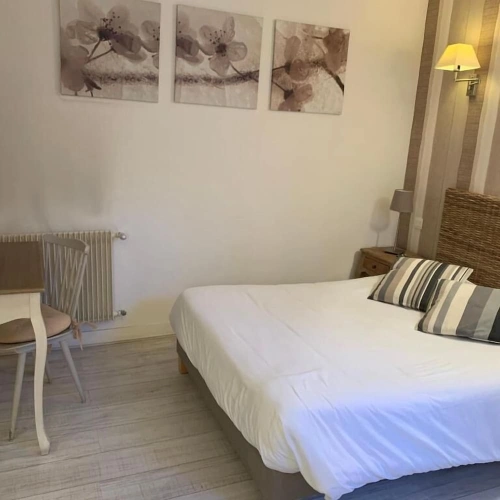 Standard Double Basement room