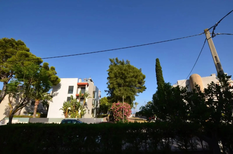 Villa Minerva 44