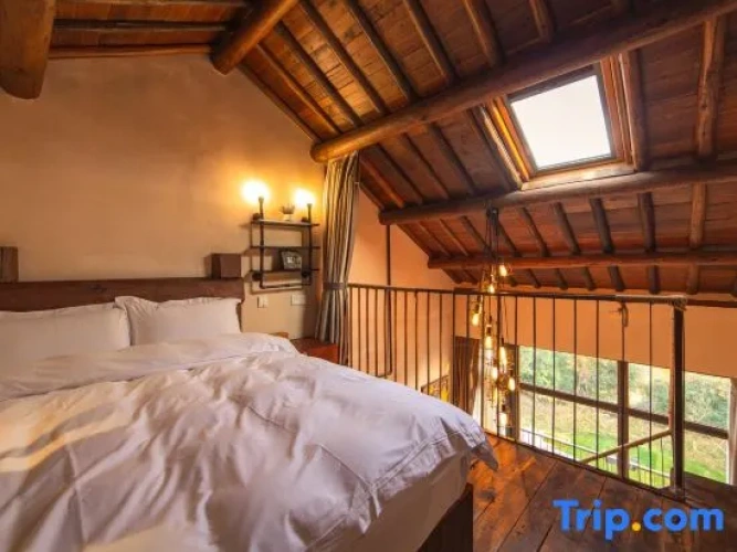1 Bedroom Suite