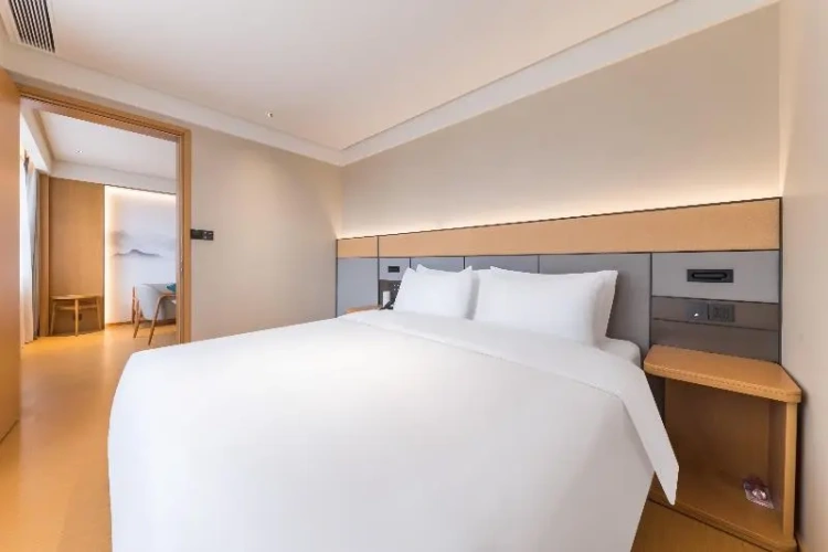Standard Suite