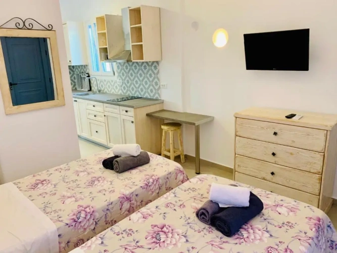 Duplex Apartment