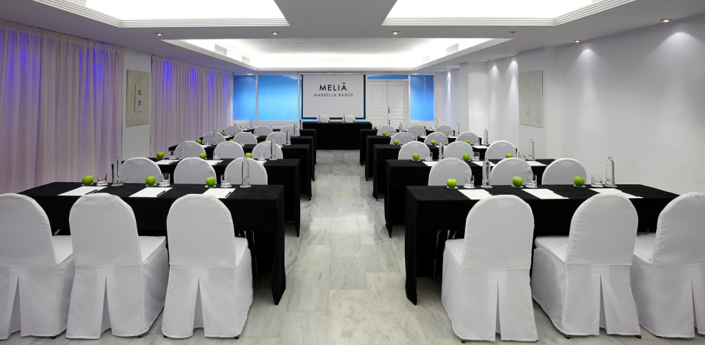 Melia Marbella Banus (Ex-Dinamar) photo 26