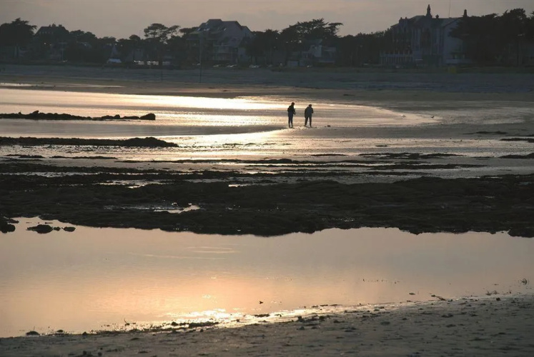 Carnac Thalasso & Spa Resort Hotel Superior