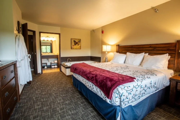 1 Bedroom Premier Suite