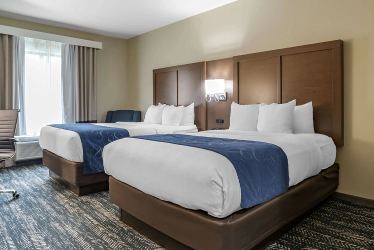 Standard Quadruple room