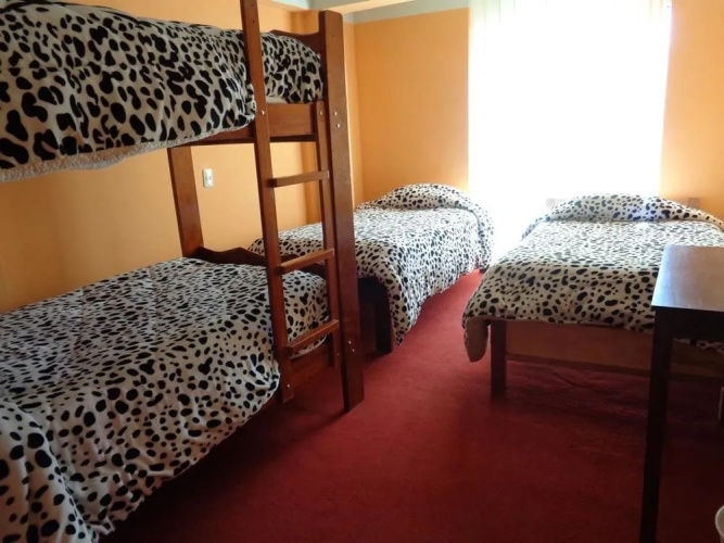 Cozy Hostel