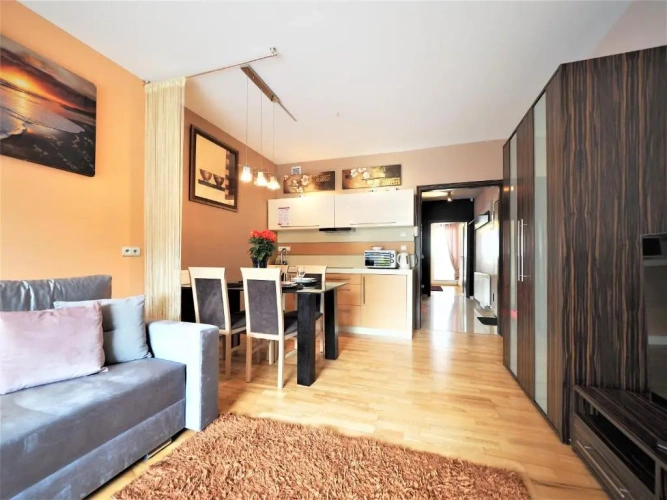 1 Bedroom Apartment