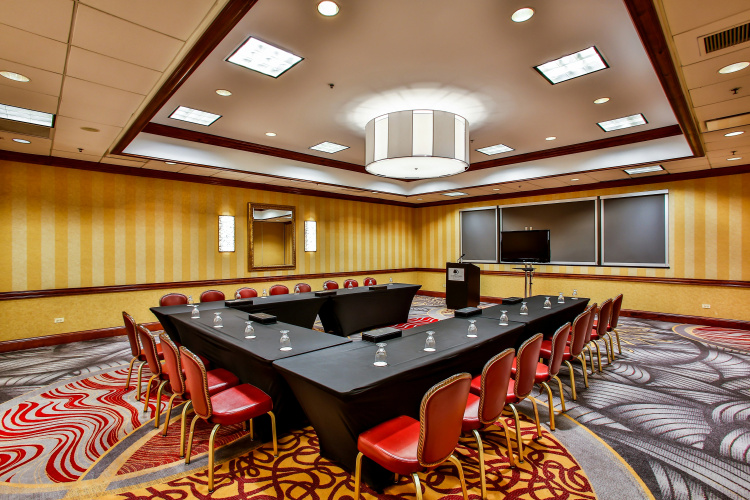 DoubleTree by Hilton Chicago - Alsip photo 20
