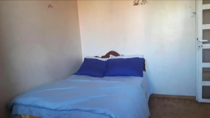 Shamrock Hostel 18