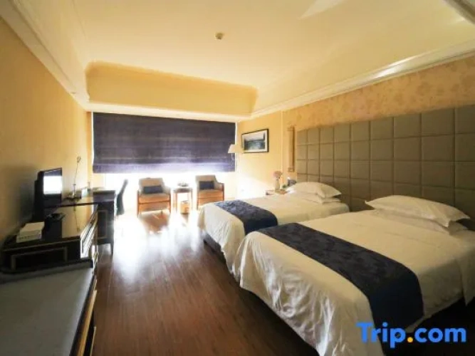 Business Double room with mountain view