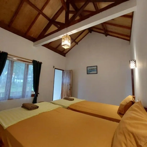 Deluxe Twin room with sea view