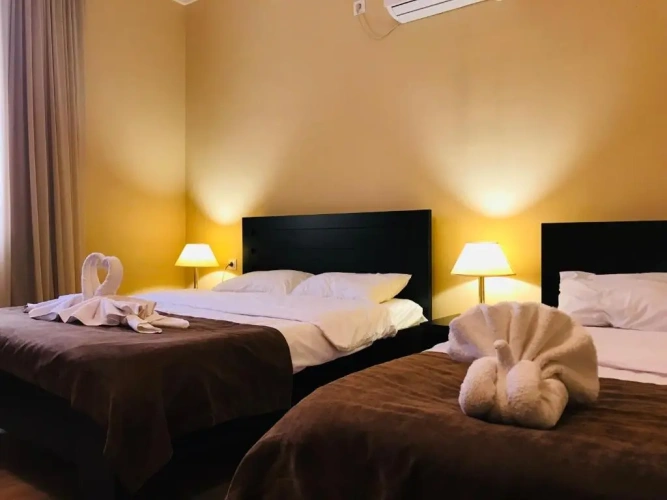 Deluxe Double room with mountain view