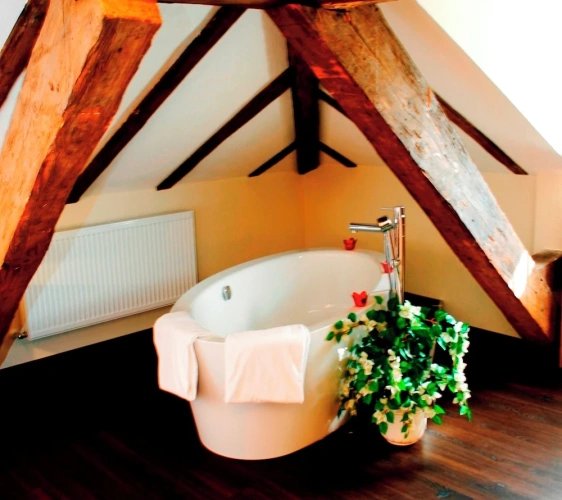 Superior Family Suite