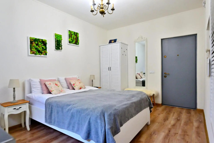 Transilvania Apartment