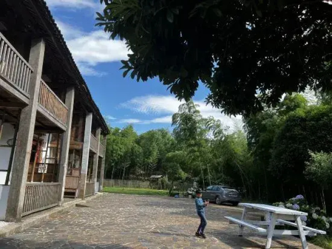 Life in Mountains