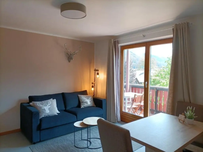 1 Bedroom Apartment with balcony and with view