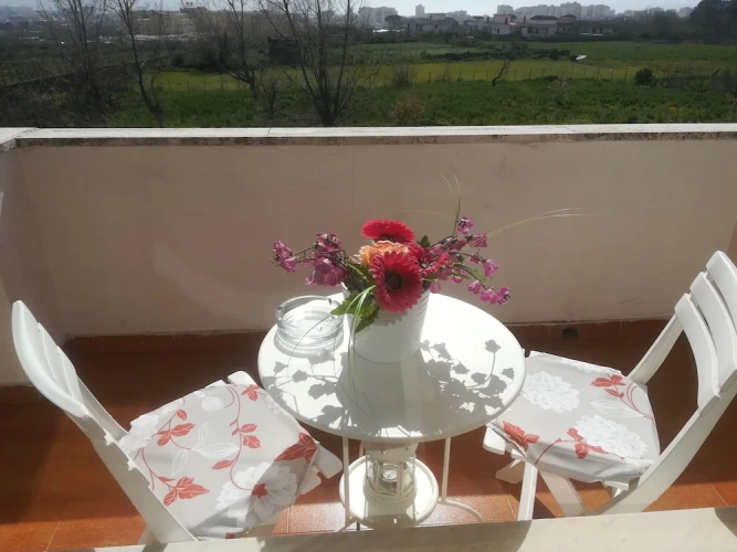 1 Bedroom Suite